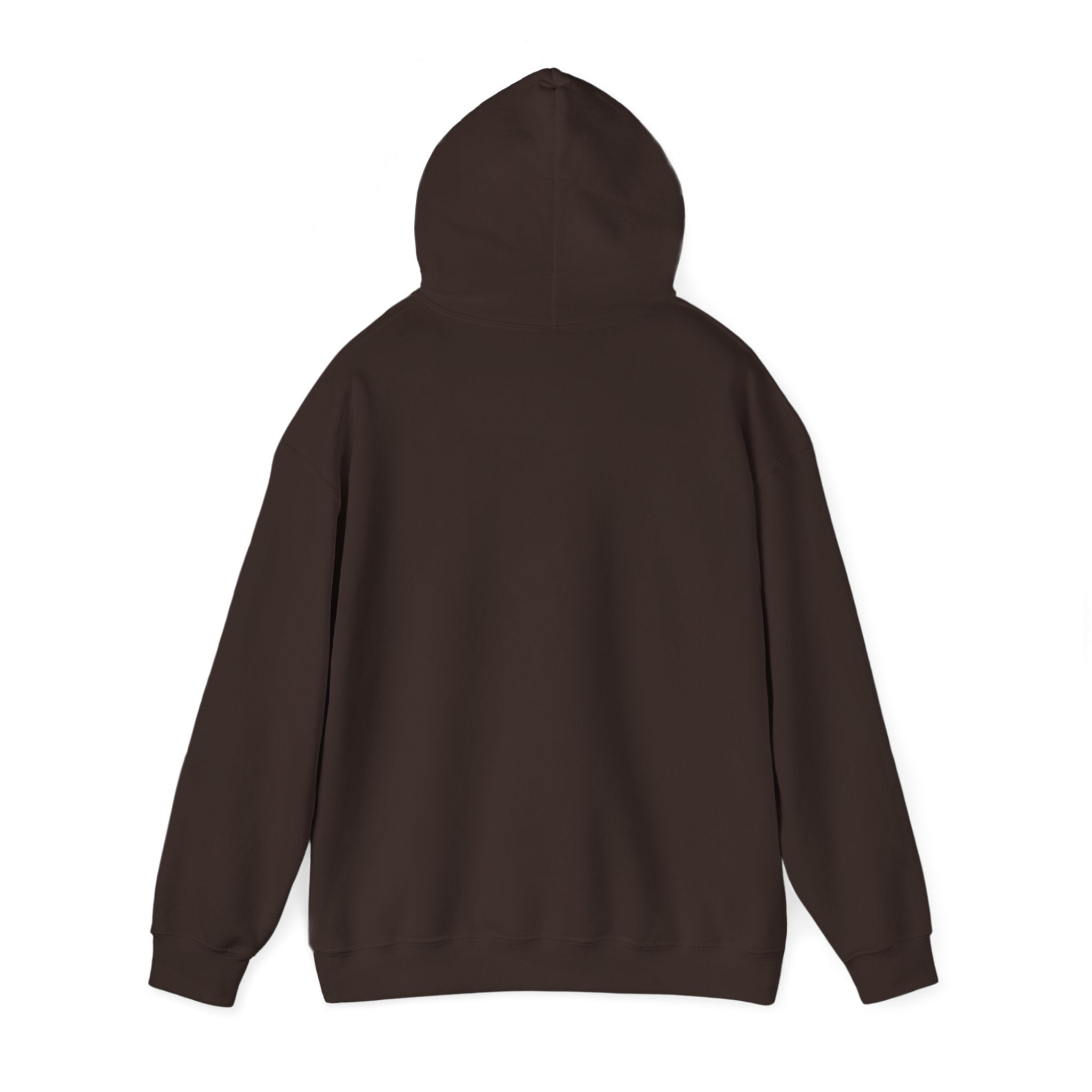 ULA Logo Hoodie