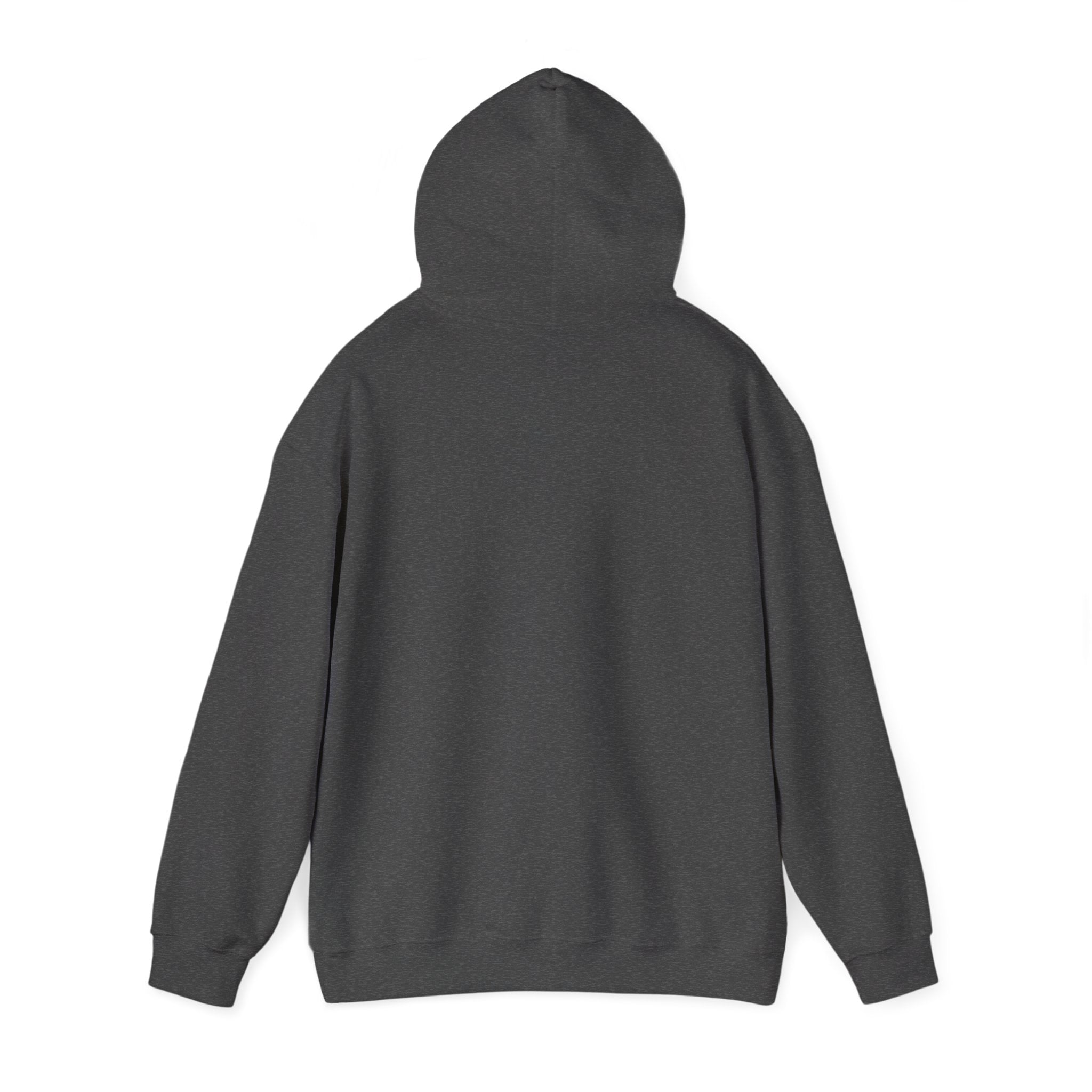 ULA Logo Hoodie
